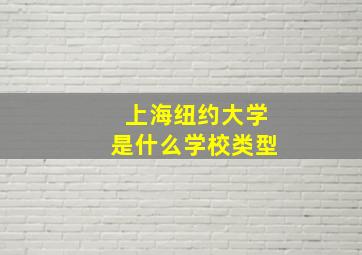 上海纽约大学是什么学校类型