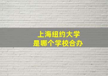 上海纽约大学是哪个学校合办