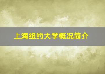 上海纽约大学概况简介