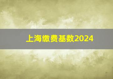 上海缴费基数2024