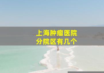 上海肿瘤医院分院区有几个