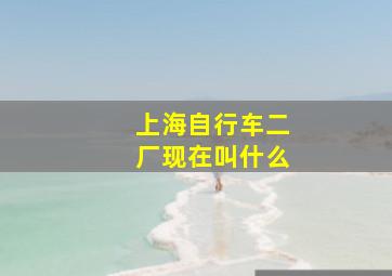 上海自行车二厂现在叫什么