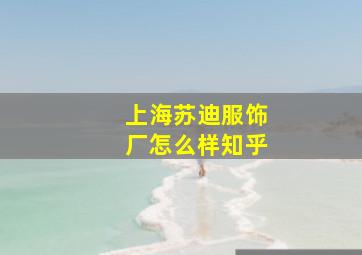 上海苏迪服饰厂怎么样知乎