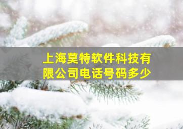 上海莫特软件科技有限公司电话号码多少