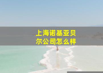 上海诺基亚贝尔公司怎么样