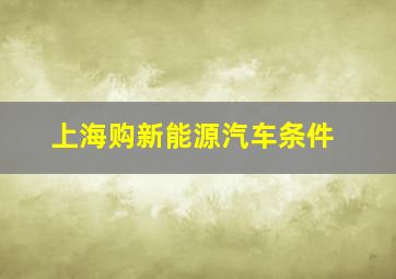 上海购新能源汽车条件