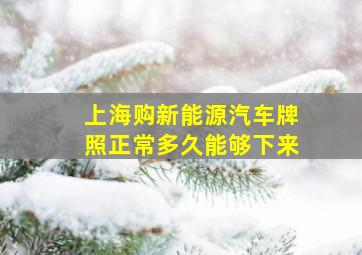 上海购新能源汽车牌照正常多久能够下来