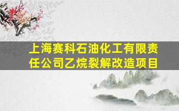 上海赛科石油化工有限责任公司乙烷裂解改造项目