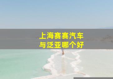 上海赛赛汽车与泛亚哪个好