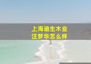 上海迪生木业汪梦华怎么样