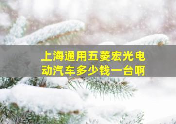 上海通用五菱宏光电动汽车多少钱一台啊