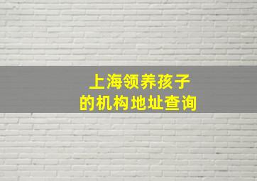 上海领养孩子的机构地址查询