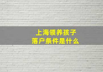 上海领养孩子落户条件是什么