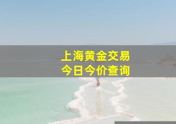 上海黄金交易今日今价查询