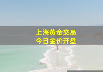 上海黄金交易今日金价开盘