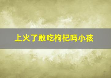 上火了敢吃枸杞吗小孩