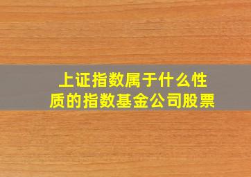 上证指数属于什么性质的指数基金公司股票