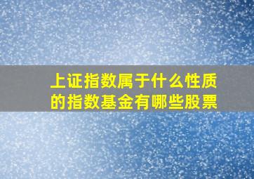 上证指数属于什么性质的指数基金有哪些股票