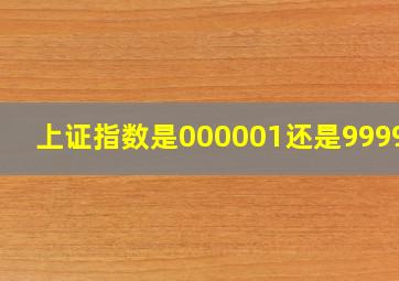 上证指数是000001还是999999