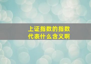 上证指数的指数代表什么含义啊