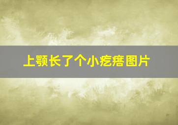 上颚长了个小疙瘩图片