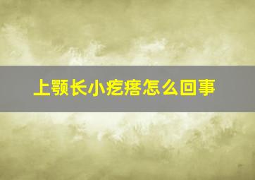 上颚长小疙瘩怎么回事