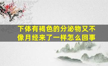 下体有褐色的分泌物又不像月经来了一样怎么回事