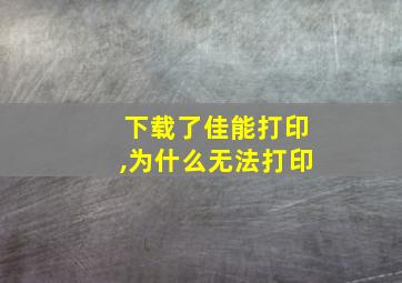 下载了佳能打印,为什么无法打印