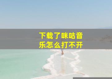 下载了咪咕音乐怎么打不开