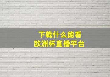 下载什么能看欧洲杯直播平台