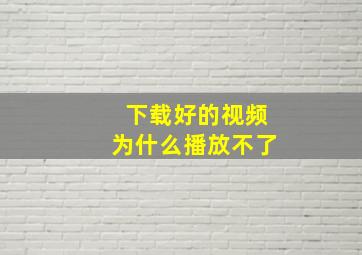 下载好的视频为什么播放不了