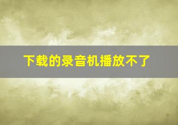 下载的录音机播放不了