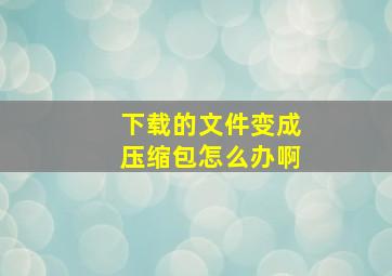 下载的文件变成压缩包怎么办啊