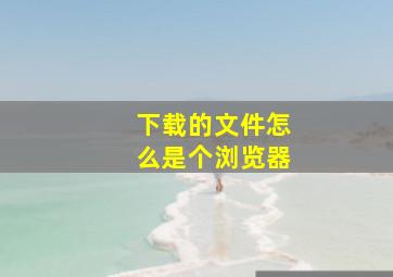 下载的文件怎么是个浏览器