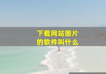 下载网站图片的软件叫什么