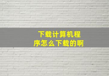 下载计算机程序怎么下载的啊