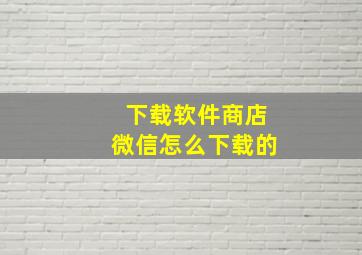 下载软件商店微信怎么下载的