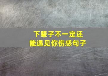 下辈子不一定还能遇见你伤感句子