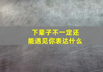 下辈子不一定还能遇见你表达什么