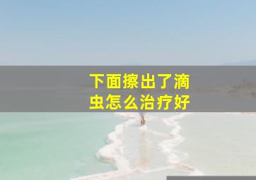 下面擦出了滴虫怎么治疗好