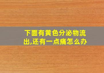 下面有黄色分泌物流出,还有一点痛怎么办