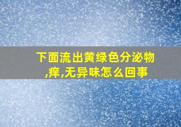 下面流出黄绿色分泌物,痒,无异味怎么回事