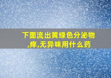 下面流出黄绿色分泌物,痒,无异味用什么药