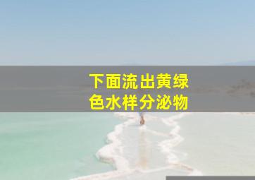 下面流出黄绿色水样分泌物