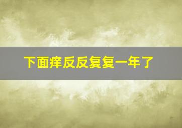 下面痒反反复复一年了