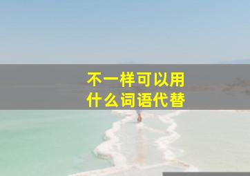 不一样可以用什么词语代替