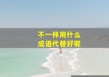 不一样用什么成语代替好呢