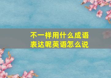 不一样用什么成语表达呢英语怎么说