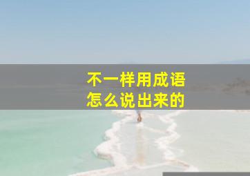 不一样用成语怎么说出来的