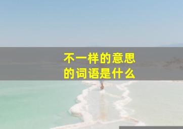 不一样的意思的词语是什么